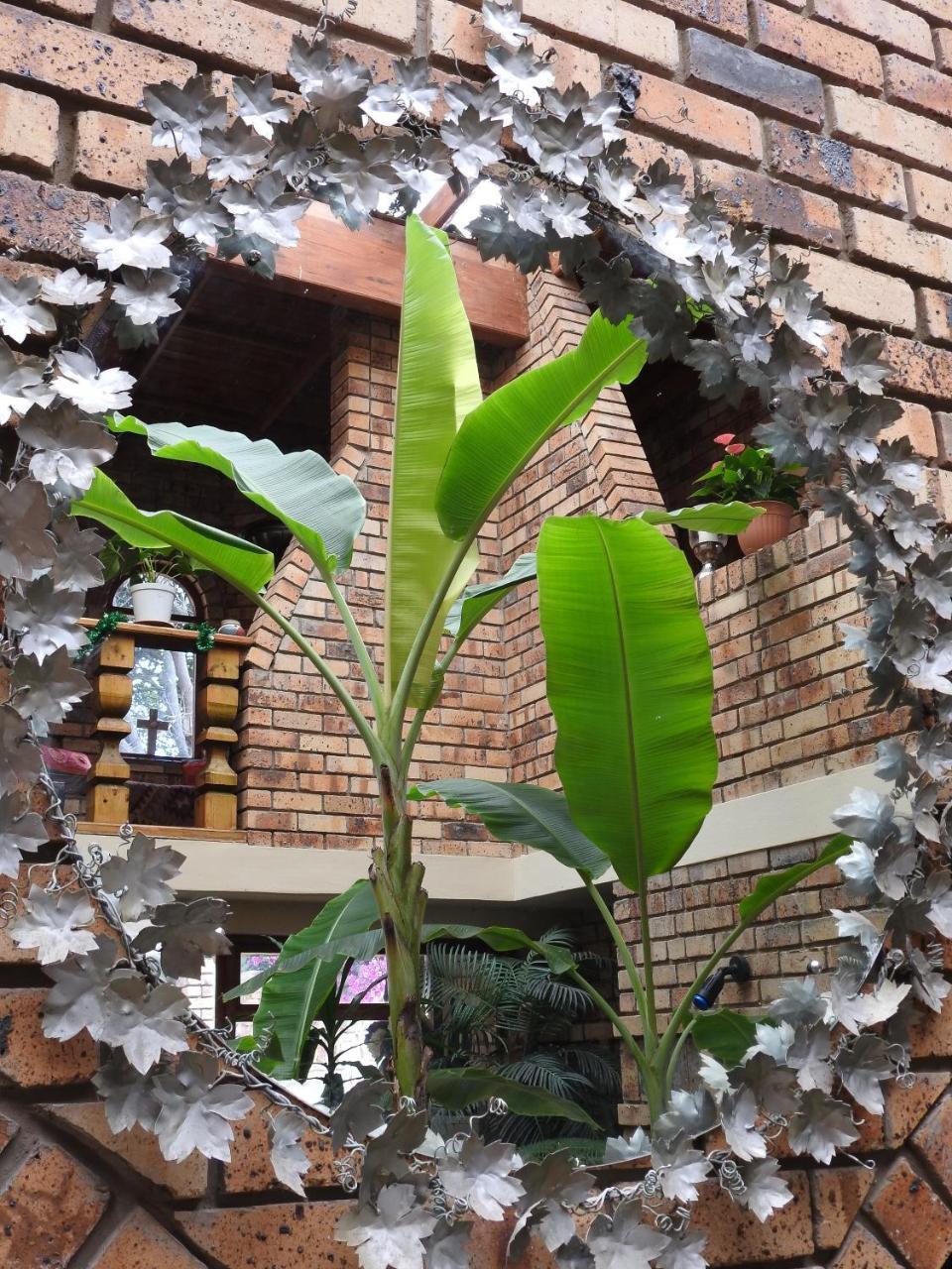 Mossel Bay Guest House Экстерьер фото